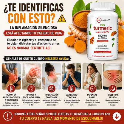 🌟 Turmeric Curcuma Original – Curcumin 95% - 60 Capsulas